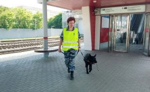 Станции Московского метро будут охранять специально обученные собаки 